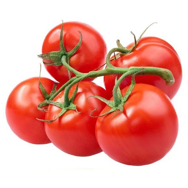 cherry standard