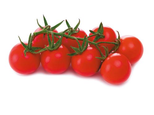 cherry premium